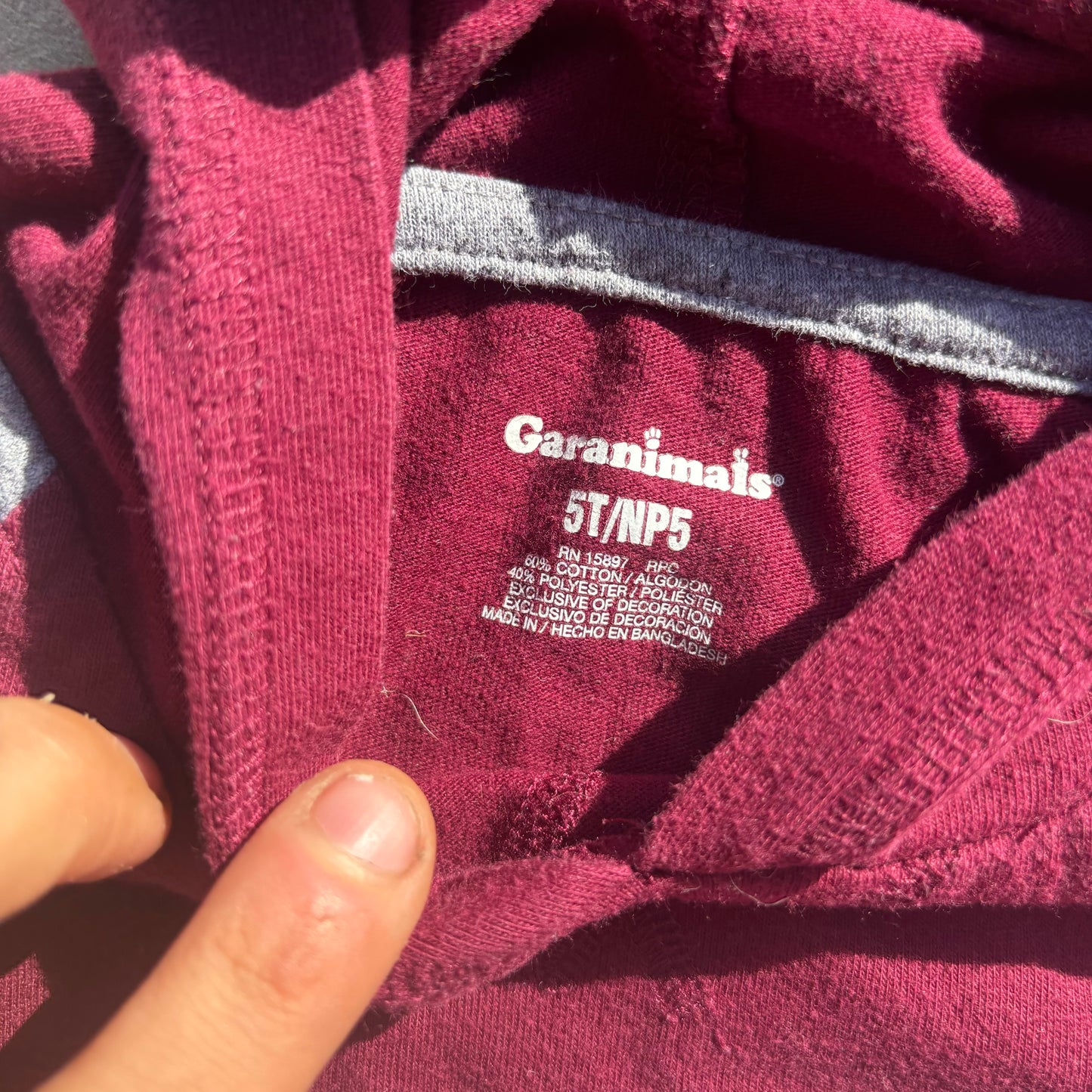 5T Monument light hoodie