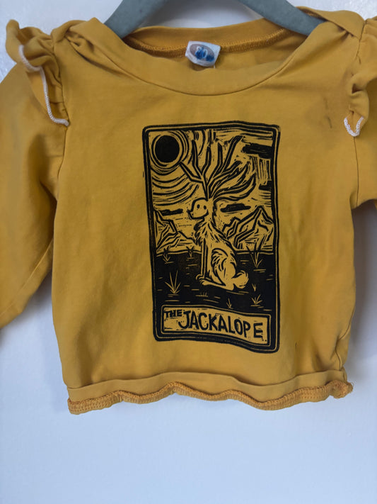 3-6m Jackalope shirt