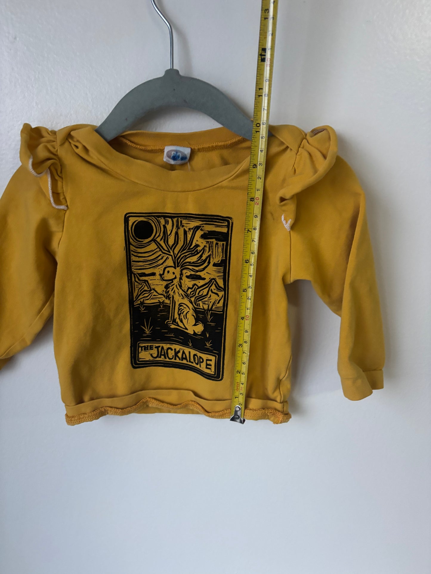 3-6m Jackalope shirt