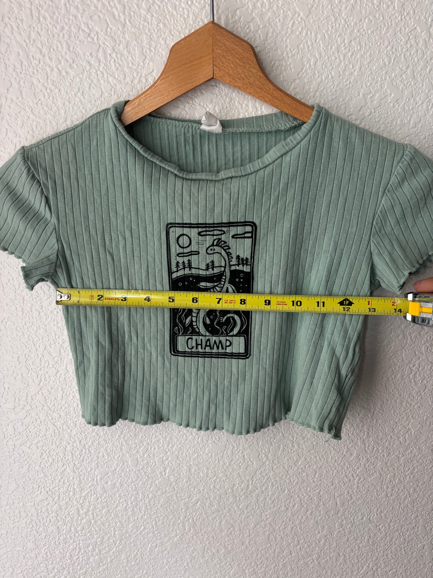 XS Champ cropped shirt