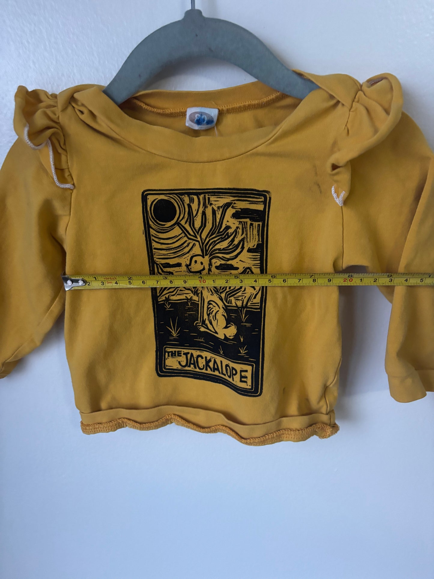 3-6m Jackalope shirt
