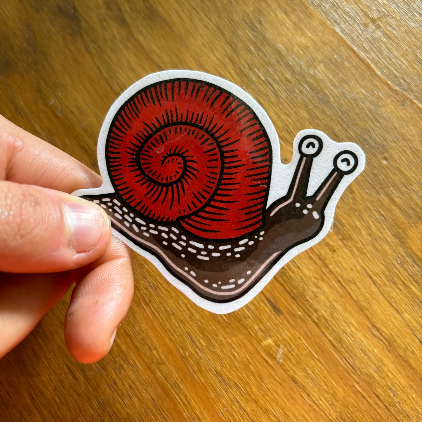 Snail sticker