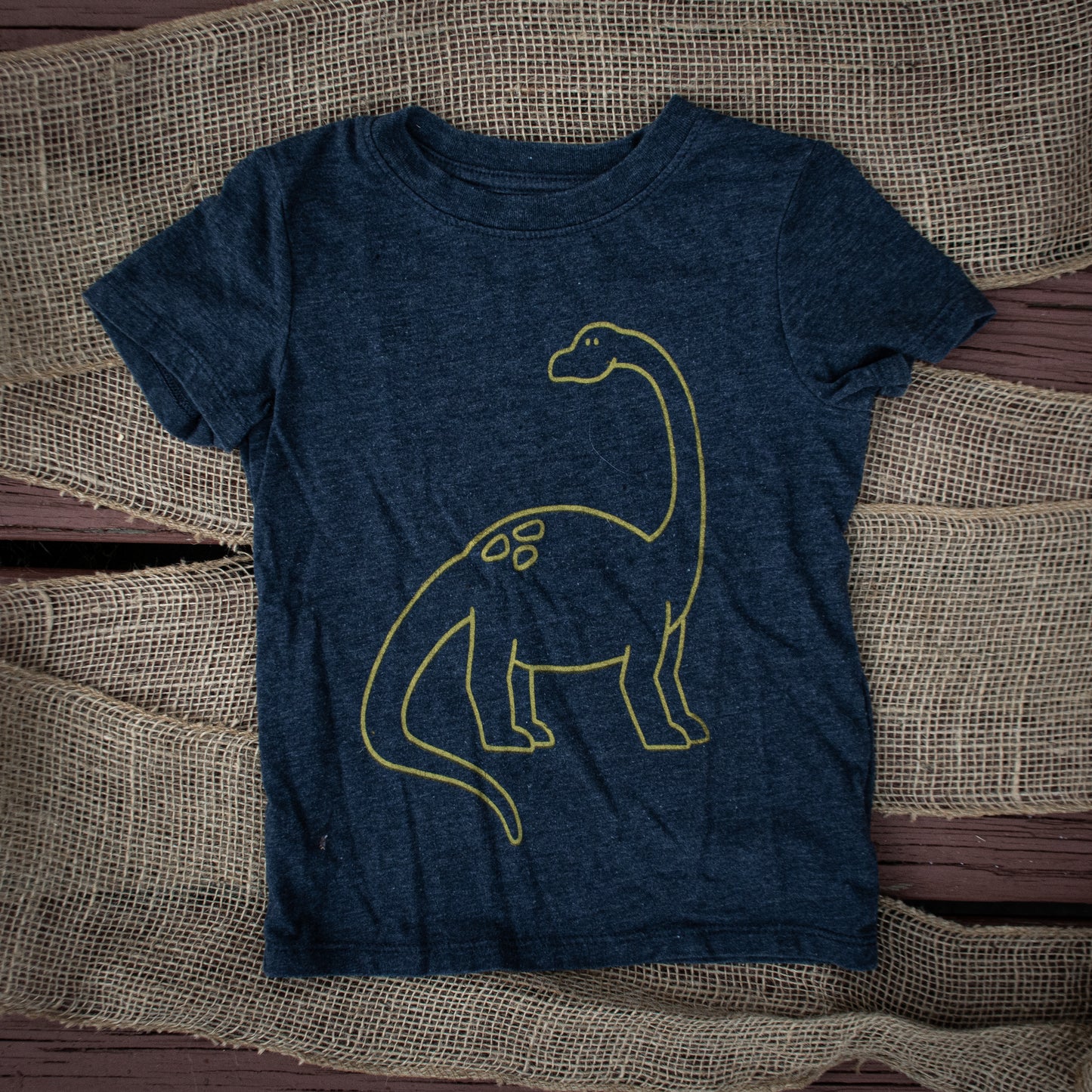 2T - Dino  Long sleeves shirt